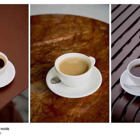 Elite Brabank Premium Walowa Apartment *