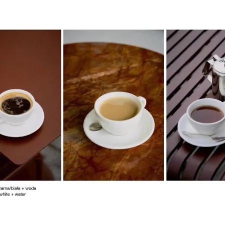 Elite Brabank Premium Walowa Apartment